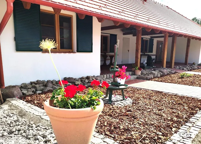 Agardy 1 * Balatonkenese